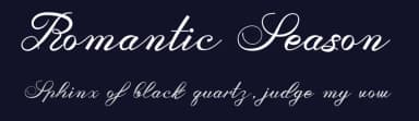 Romantic Season by Dedi Mujiono — Script Handwritten Font — thumbnail 2