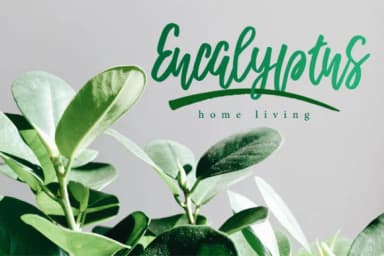 Romantica Script Font by Caoca Studio — Script Handwritten Font — thumbnail 7