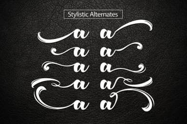 Romero Font by Olexstudio — Script Handwritten Font — thumbnail 3