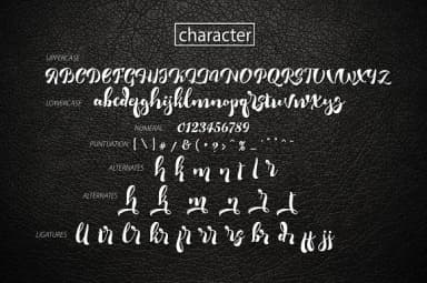 Romero Font by Olexstudio — Script Handwritten Font — thumbnail 4