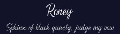 Roney by Mytype Studio — Script Handwritten Font — thumbnail 2