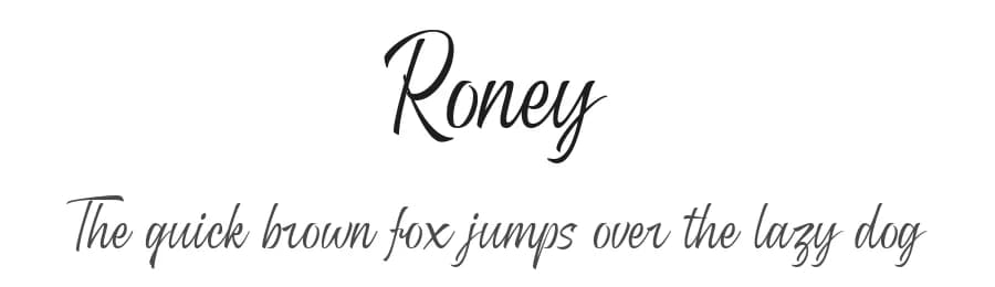 Roney by Mytype Studio — Script Handwritten Font — preview 1
