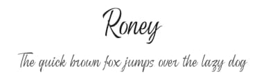 Roney by Mytype Studio — Script Handwritten Font — thumbnail 1