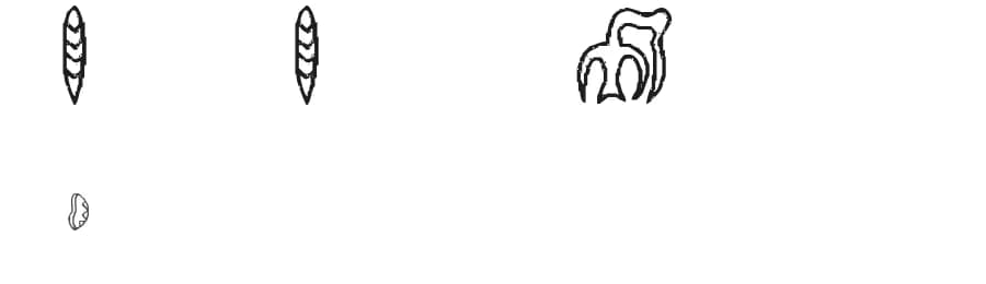 RongoRongo Glyphs by ~Sorcerer~ — Dingbats Font — preview 1