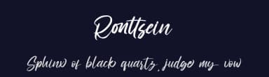 Ronttsein by StringLabs Creative Studio — Script Handwritten Font — thumbnail 2