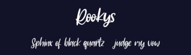Rookys by Maulana Creative — Script Handwritten Font — thumbnail 2