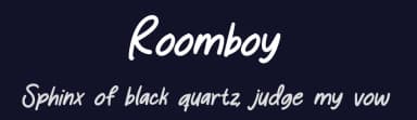 Roomboy by Scratchones — Script Handwritten Font — thumbnail 2