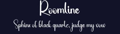 Roomline by Andi Moz — Script Handwritten Font — thumbnail 2