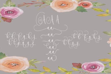 Rooster Script Font by JoeeCreative — Script Handwritten Font — thumbnail 7