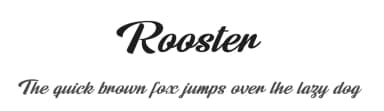 Rooster by Billy Argel Fonts ® — Script Handwritten Font — thumbnail 1