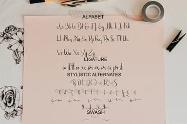 Rosalinda Script Font by Fallengraphic — Script Handwritten Font — thumbnail 7