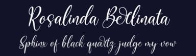 Rosalinda Berlinata by Perspectype Studio - Letterena.com — Script Handwritten Font — thumbnail 2