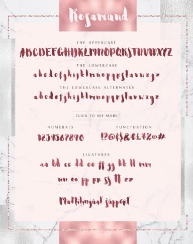 Rosamund Script & Extras Font by Iradvilyuk — Script Handwritten Font — thumbnail 2