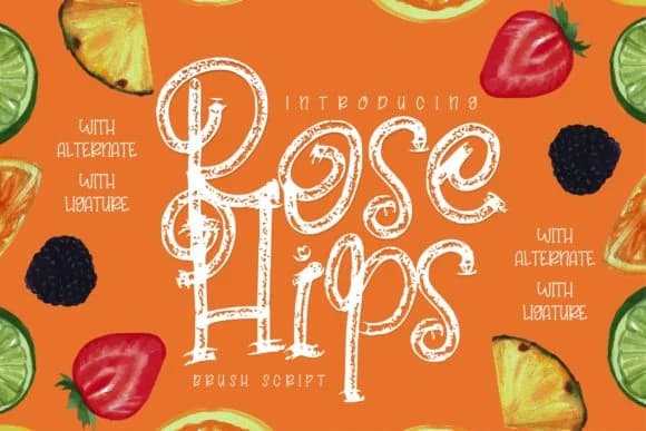 Rose Hips Font by Vunira — Script Handwritten Font