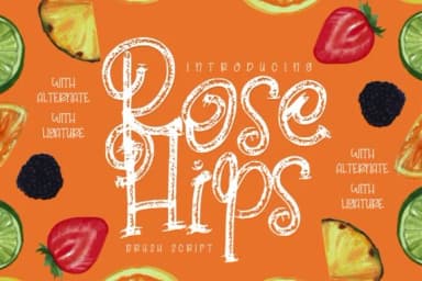 Rose Hips Font by Vunira — Script Handwritten Font — thumbnail 1