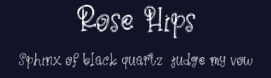 Rose Hips by Vunira Design — Script Handwritten Font — thumbnail 2