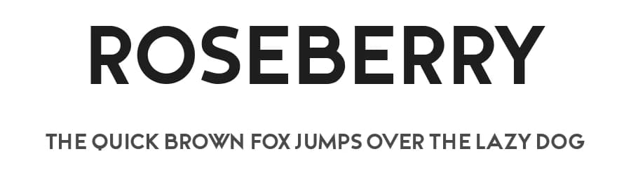 Roseberry by Vladimir Nikolic — Sans Serif Font