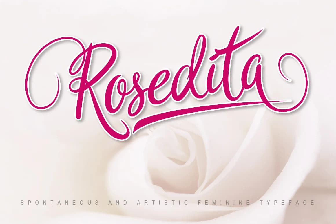 Rosedita Font by Cove703 — Script Handwritten Font