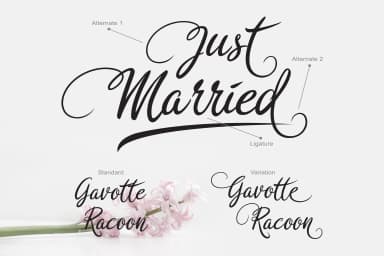 Rosedita Font by Cove703 — Script Handwritten Font — thumbnail 4