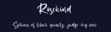 Rosekind by Vz Type — Script Handwritten Font — thumbnail 2