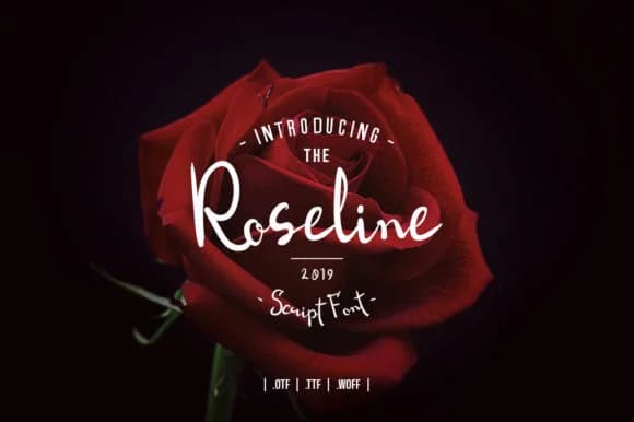 Roseline Script Font by Zavira Mumtaz — Script Handwritten Font