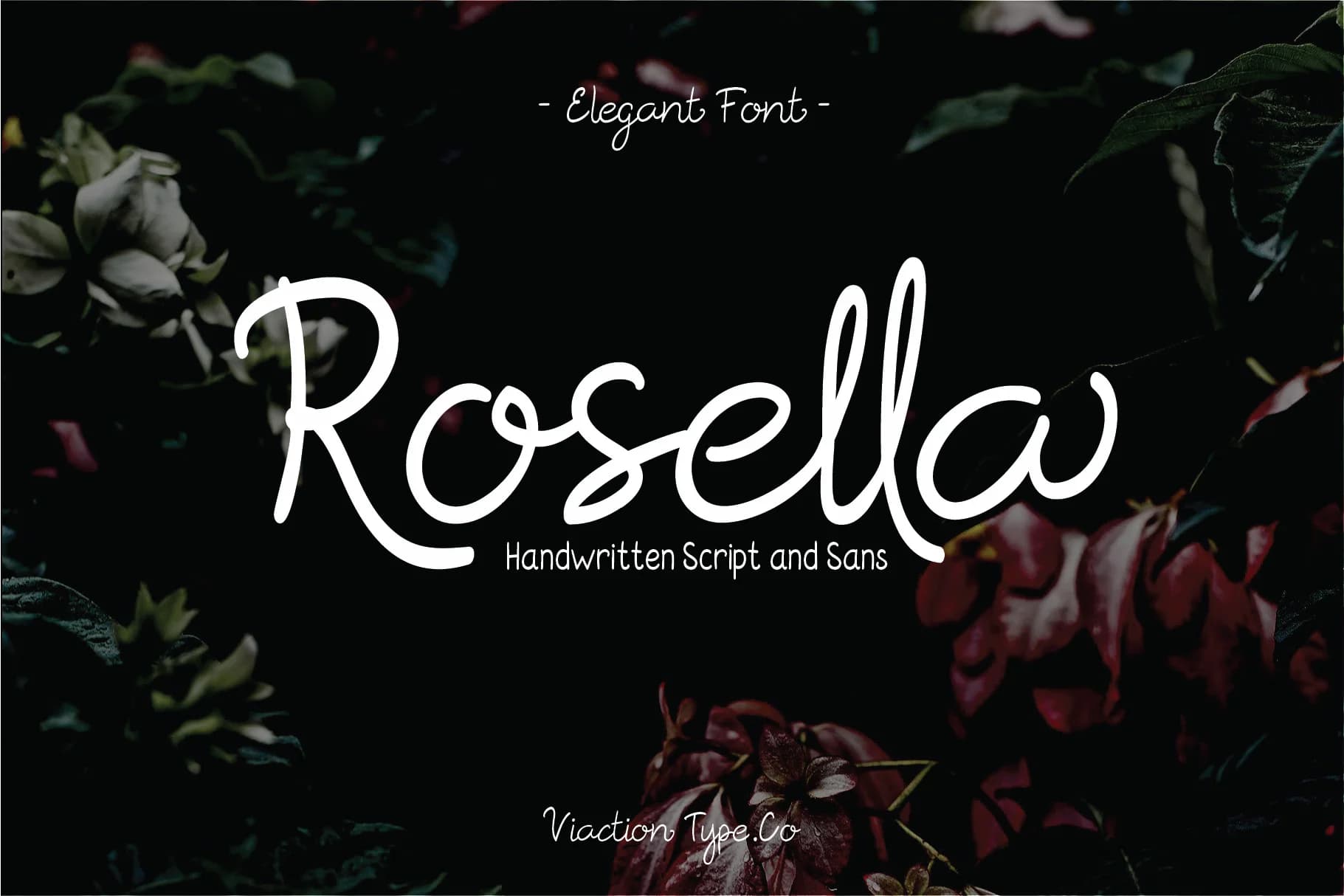 Rosella Font by Viaction Type.Co — Script Handwritten Font