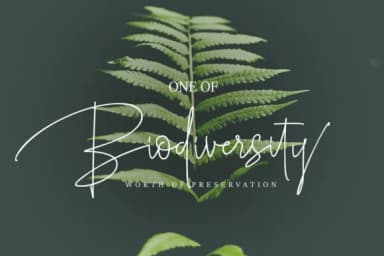 Roselle Font by varianskills — Script Handwritten Font — thumbnail 7