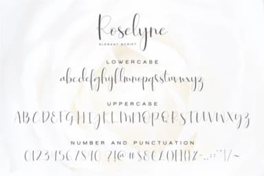 Roselyne Script Font by Dharmas Studio — Script Handwritten Font — thumbnail 8