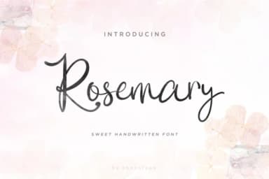 Rosemary Script Font by Chocotype — Script Handwritten Font — thumbnail 2