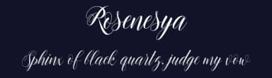 Rosenesya by Adefa Studio — Script Handwritten Font — thumbnail 2