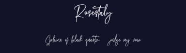Rosestaly by Maulana Creative — Script Handwritten Font — thumbnail 2