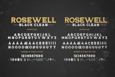 Rosewell Family Font by ardyanatypes — Script Handwritten Font — thumbnail 8