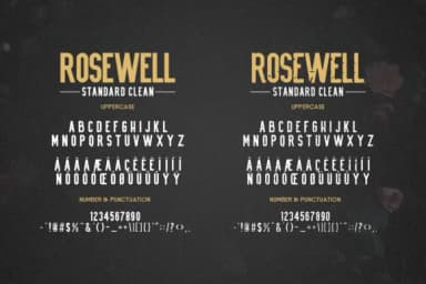 Rosewell Family Font by ardyanatypes — Script Handwritten Font — thumbnail 9