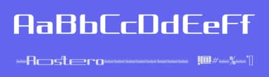 Rostero by Absonstype Studio — Sans Serif Font — thumbnail 3