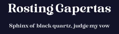 Rosting Gapertas by Mega Type — Serif Font — thumbnail 2