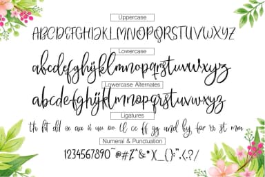 Rotterdam Street Font by Motypeidea — Script Handwritten Font — thumbnail 6