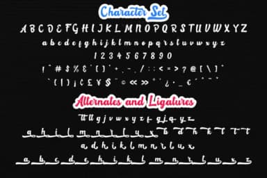 Rotterin Script Font by craftsupplyco — Script Handwritten Font — thumbnail 8