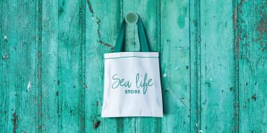 Rough Beauty Font by Pedro Alexandre Teixeira — Script Handwritten Font — thumbnail 4