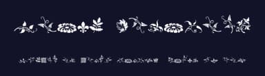 Rough Fleurons by Intellecta Design — Dingbats Font — thumbnail 2
