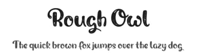 Rough Owl by Shaped Fonts — Script Handwritten Font — thumbnail 1