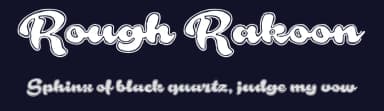 Rough Rakoon by Måns Grebäck — Script Handwritten Font — thumbnail 2