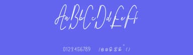Royal Hamilton by Dhw Type — Script Handwritten Font — thumbnail 3