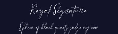 Royal Signature by Yoga Letter — Script Handwritten Font — thumbnail 2