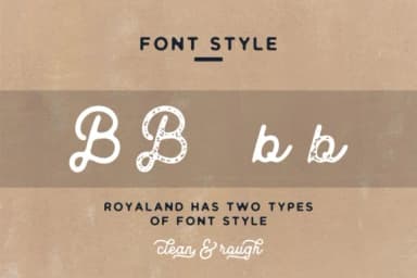 Royaland Font by YdhraStudio — Script Handwritten Font — thumbnail 2