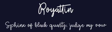 Royattin by Denny Subagja — Script Handwritten Font — thumbnail 2