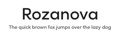 Rozanova by Variable Tyep Foundry — Sans Serif Font — thumbnail 1
