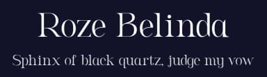 Roze Belinda by Sign Studio — Serif Font — thumbnail 2