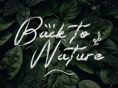 Rufist Font by Wudel Mbois — Script Handwritten Font — thumbnail 3