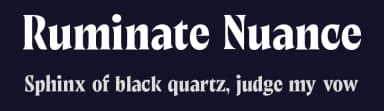 Ruminate Nuance by Variatype — Serif Font — thumbnail 2