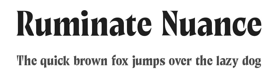 Ruminate Nuance by Variatype — Serif Font
